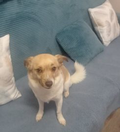 Апартамент за Гости "Bee Happy" Пчелински бани