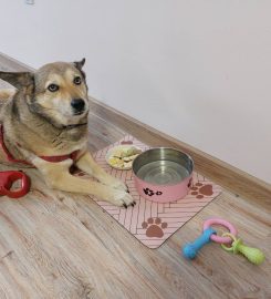 Апартамент за Гости "Bee Happy" Пчелински бани